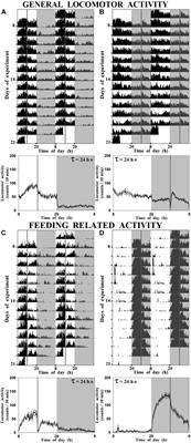 Time-Lag in Feeding Schedule Acts as a Stressor That Alters Circadian Oscillators in Goldfish
